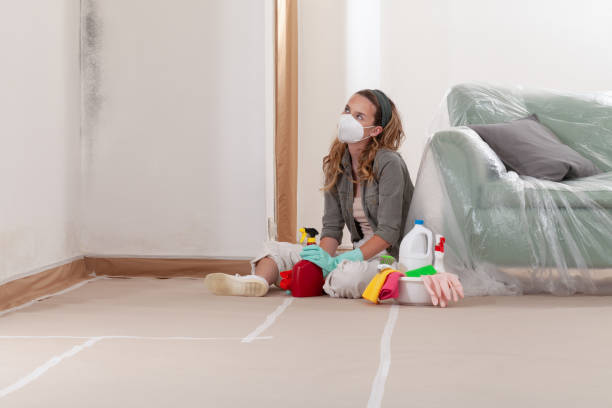 Reliable Commercial Mold Remediation contractor in Wye Mills, MD by WQB Mold Removal